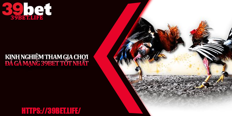 Kinh Nghiệm Tham Gia Chơi Đá Gà Mạng 39BET Tốt Nhất