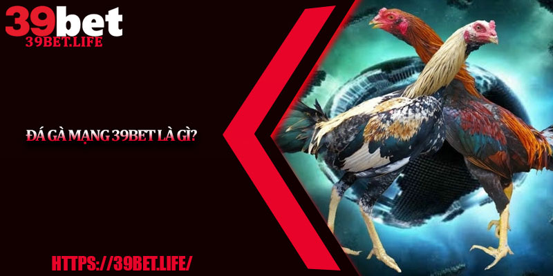 Đá Gà Mạng 39BET Là Gì?